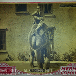 Lobby Card from Live Cowards (1926).